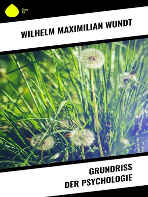 cover image of Grundriss der Psychologie